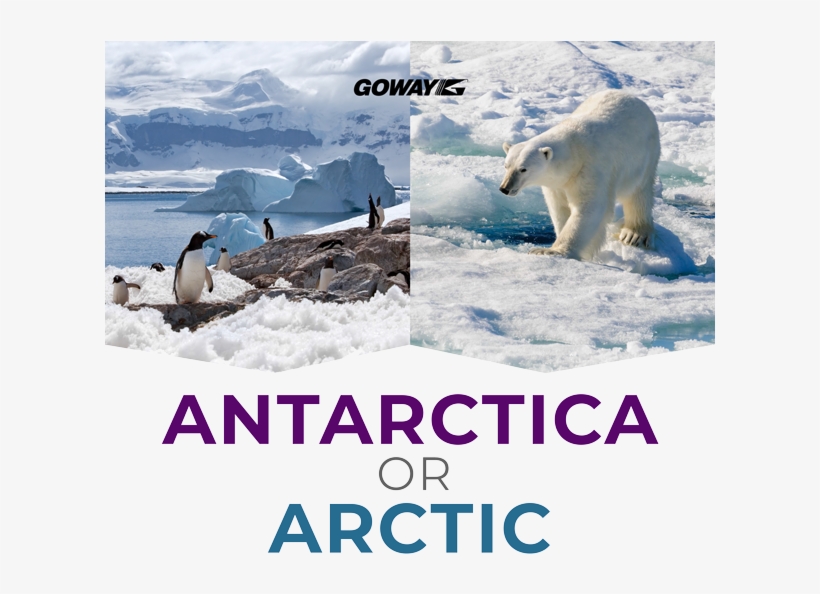 Ecosistema De Clima Frio, transparent png download