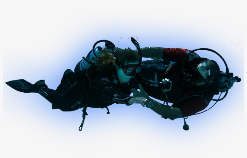 Go Pro Teach Diving - Japanese Rhinoceros Beetle, transparent png download