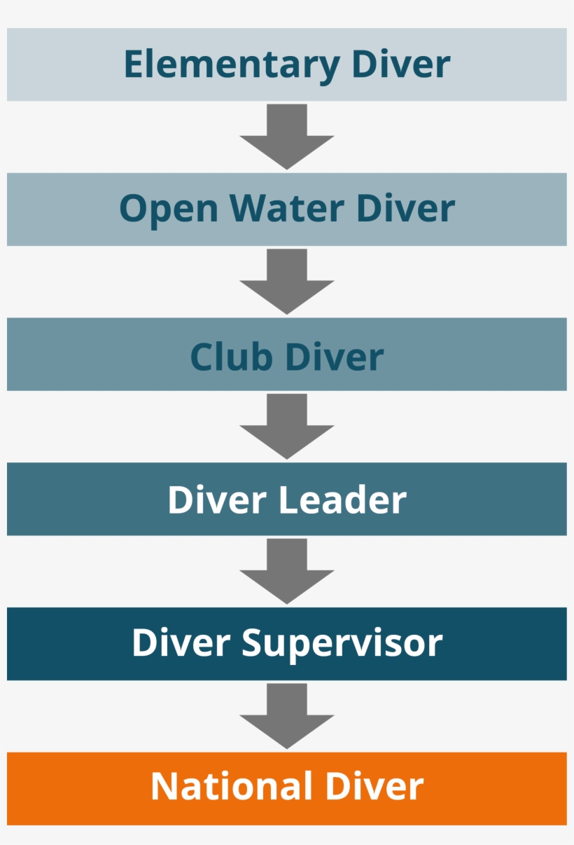 Upon Successful Completion Of The Dive Leader Grade, - Graphic Design, transparent png download