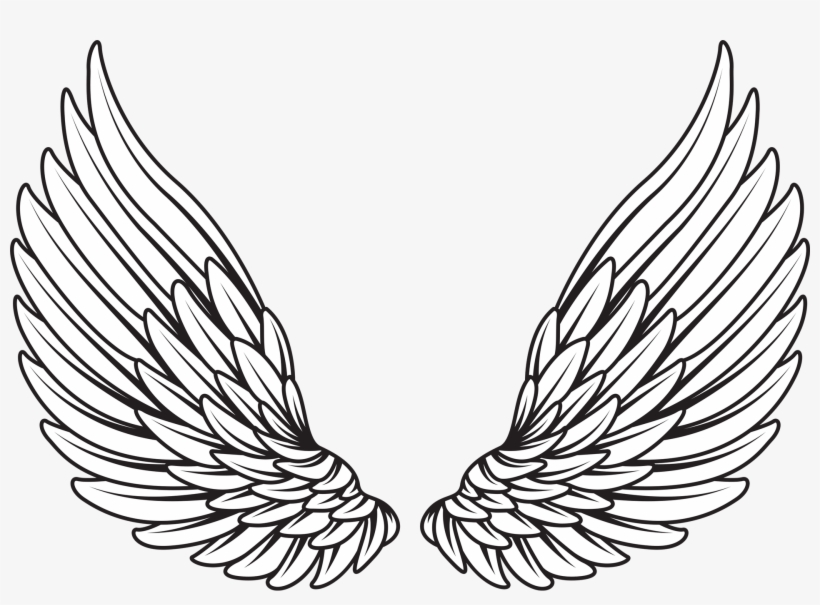 Activating Angels - Black And White Vector Wing, transparent png download