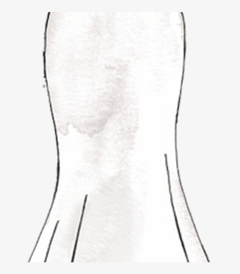 Silhouette Guide Wedding Dress Styles & Shapes David's - Monochrome, transparent png download