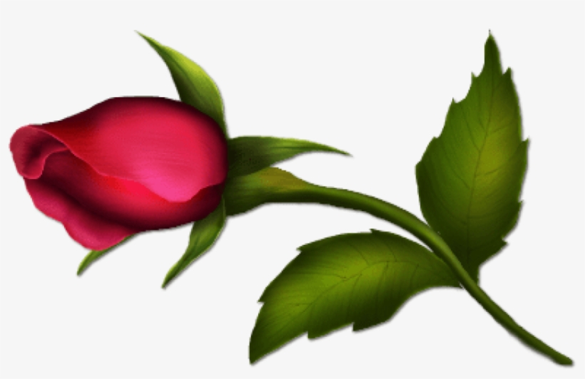 Free Png Download Rose Bud Painted Png Images Background - Clipart Images Of Bud, transparent png download