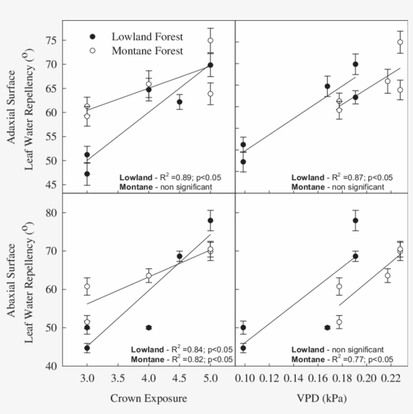 Relationships Between Adaxial Surface Lwr, Crown Exposure - Diagram, transparent png download