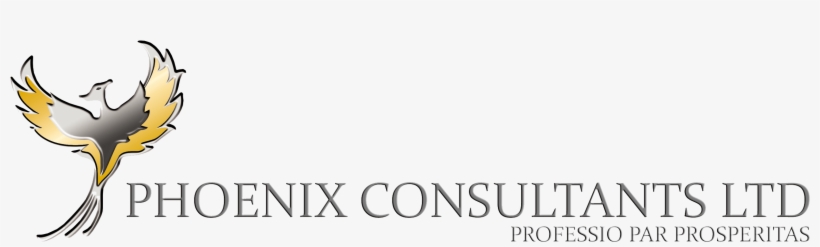 Phoenix Consultants Ltd/1st Floor, Kings Court, Bay - Excuse My Dear Aunt Sally, transparent png download