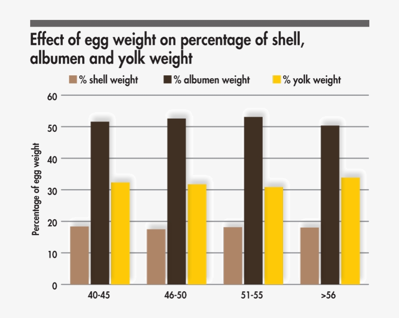 Egg Weight Percentages - Number, transparent png download
