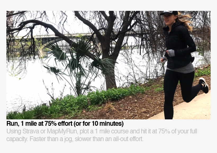 01 High Res - Tree, transparent png download