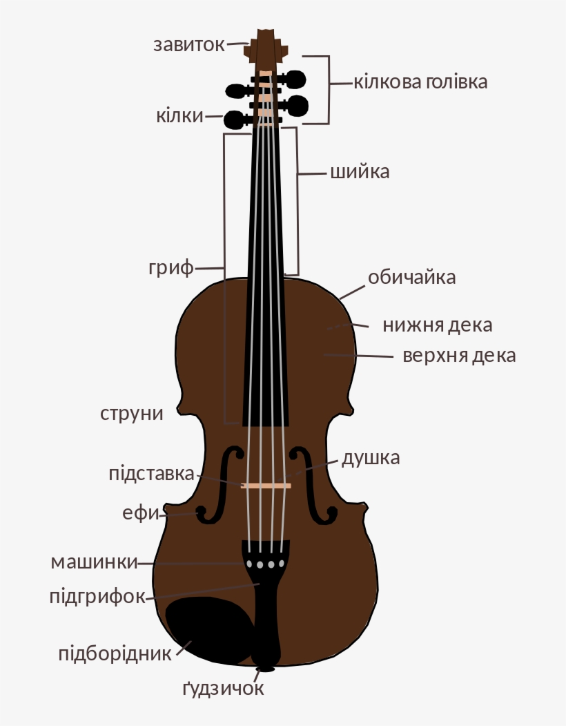 File - Violin Construction - Svg - Music Instruments Violins, transparent png download