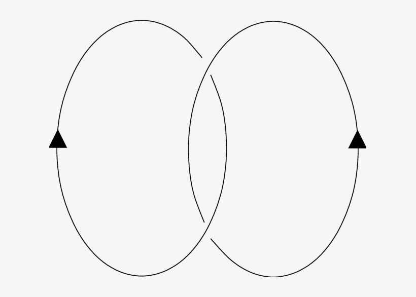 The Link Whose Link Invariant In The Three Sphere S - Circle, transparent png download