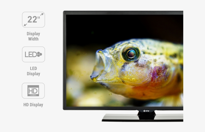 22d2t2 Ikonos Ir Dalis Tv - Fly Fishing, transparent png download