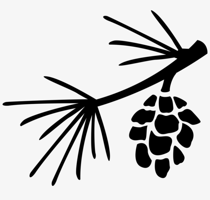 Vector Illustration Of Botanical Horticulture Plant, transparent png download