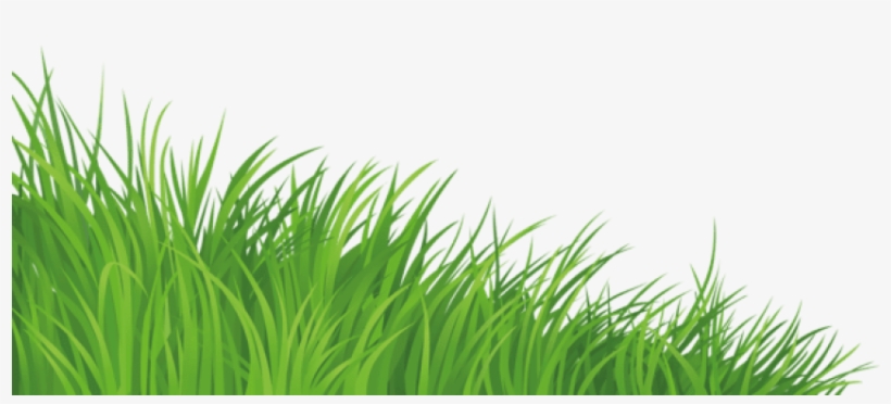 Free Png Download Grass Elementpicture Png Images Background - Grass Image In Png, transparent png download