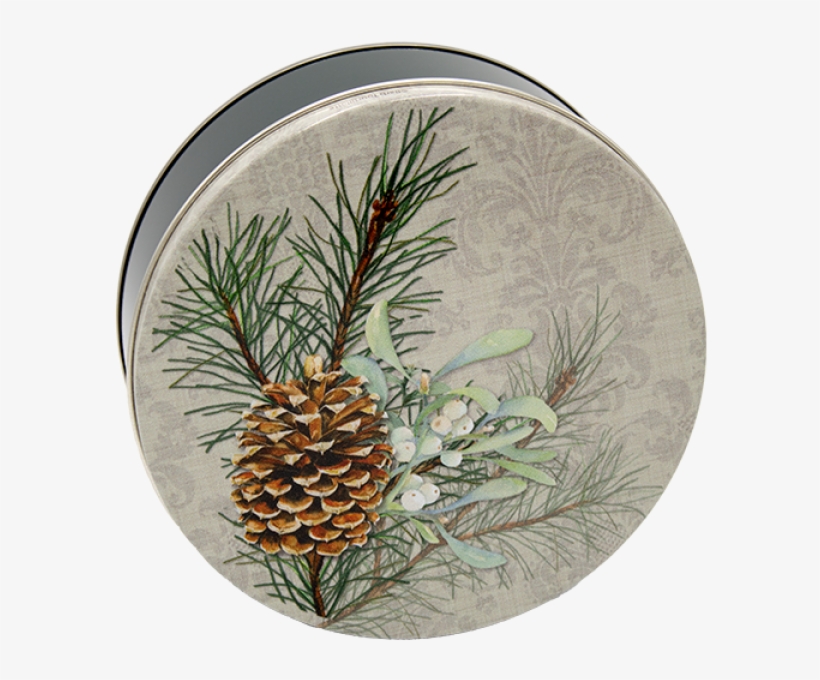 Mexican Pinyon, transparent png download