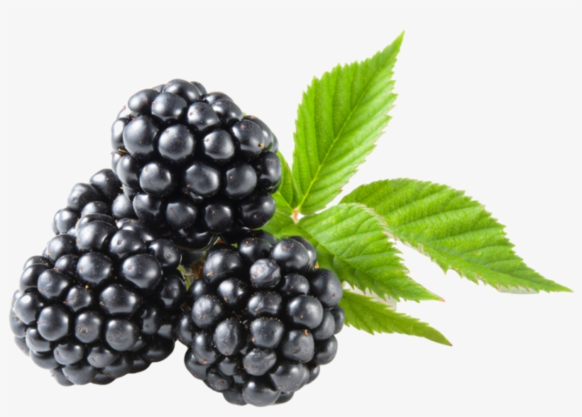 Blackberry No Back - Blackberry Fruit, transparent png download