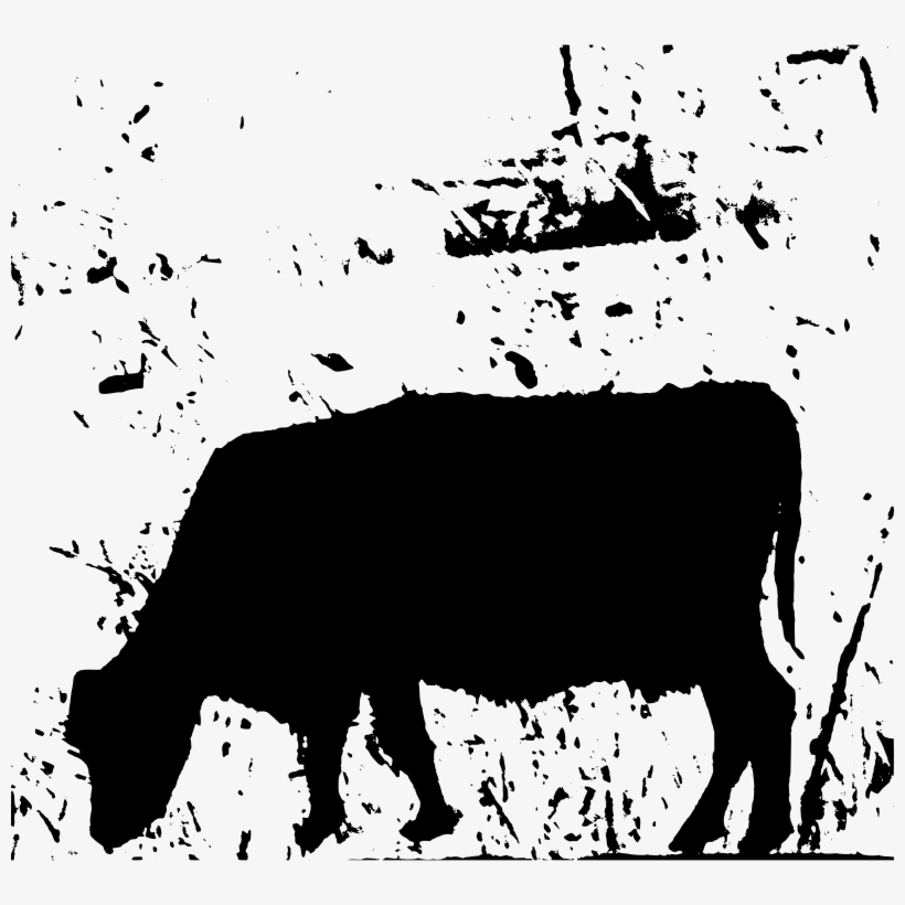 Medium Image - Illustration, transparent png download