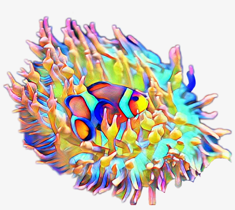 Fteseacreatures Anemone Clownfish Fish - Coral Reef Fish, transparent png download