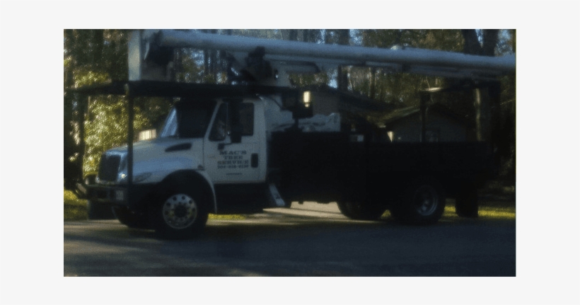 Tree Stump Removal - Commercial Vehicle, transparent png download