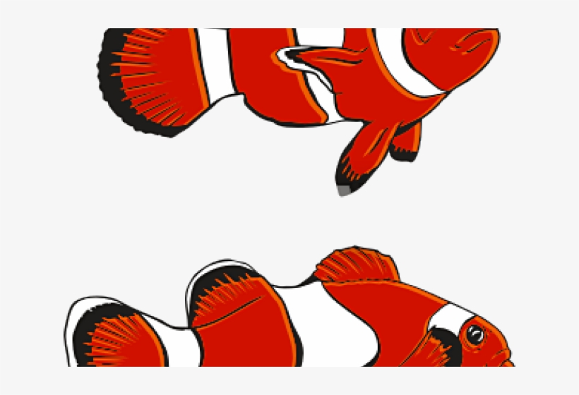 Clownfish Clipart Transparent, transparent png download