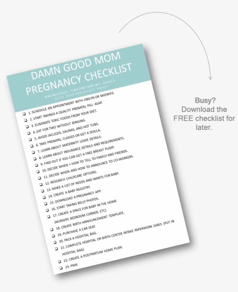 The Pregnancy Checklist - Paper, transparent png download