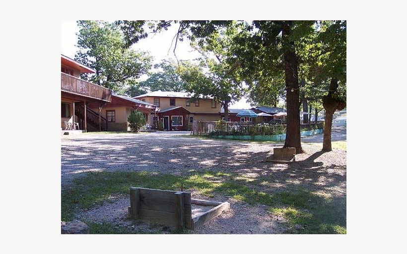 Exterior View Of Driftwood Resort - Tree, transparent png download