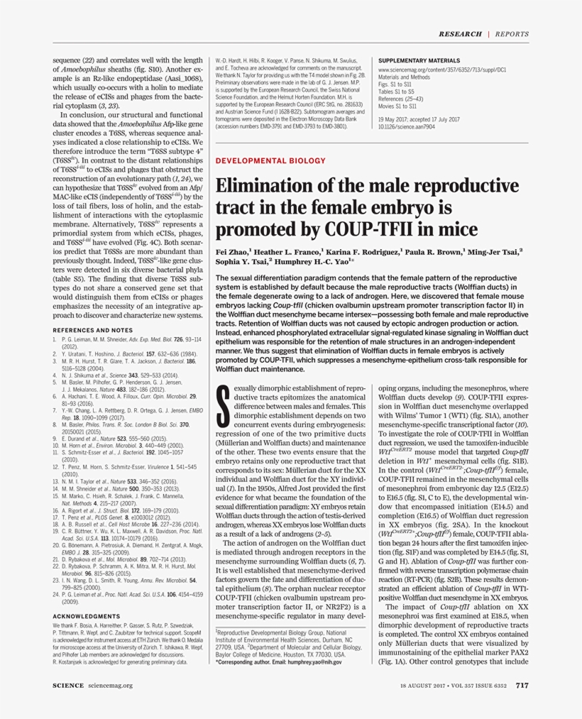 Ferderal Minimum Wage Poster, transparent png download