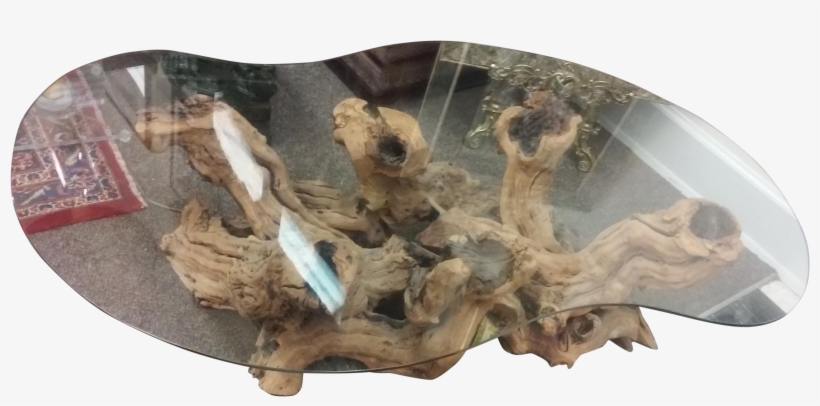 M#century Modern Driftwood Coffee Table On Chairish - Driftwood, transparent png download