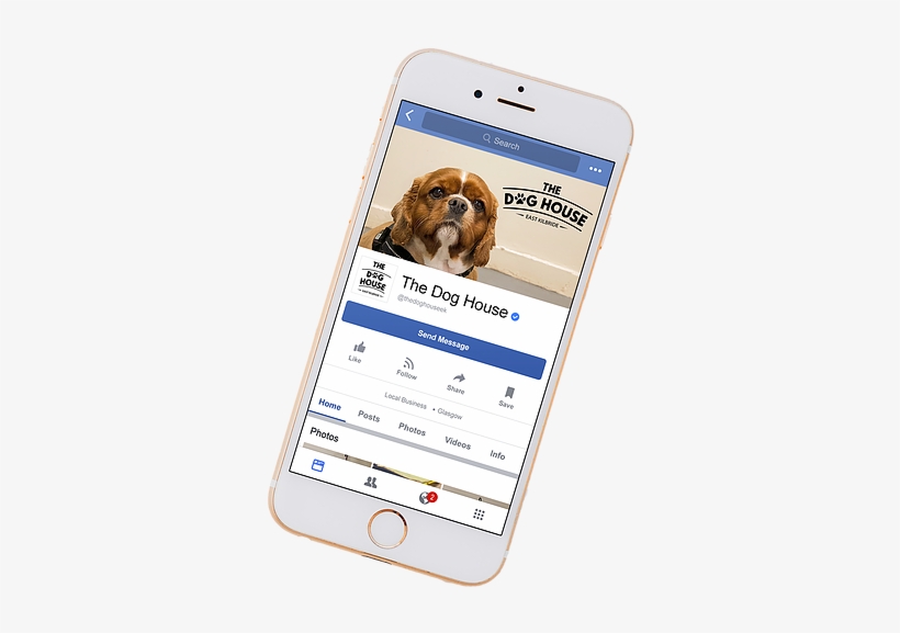 Ad 11 - Puppy, transparent png download
