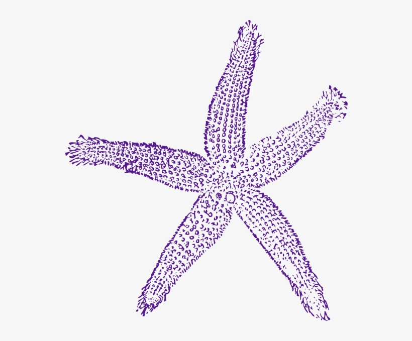 Star Fish Deep Plum Purple 551a8b Clip Art - Fish Clip Art, transparent png download