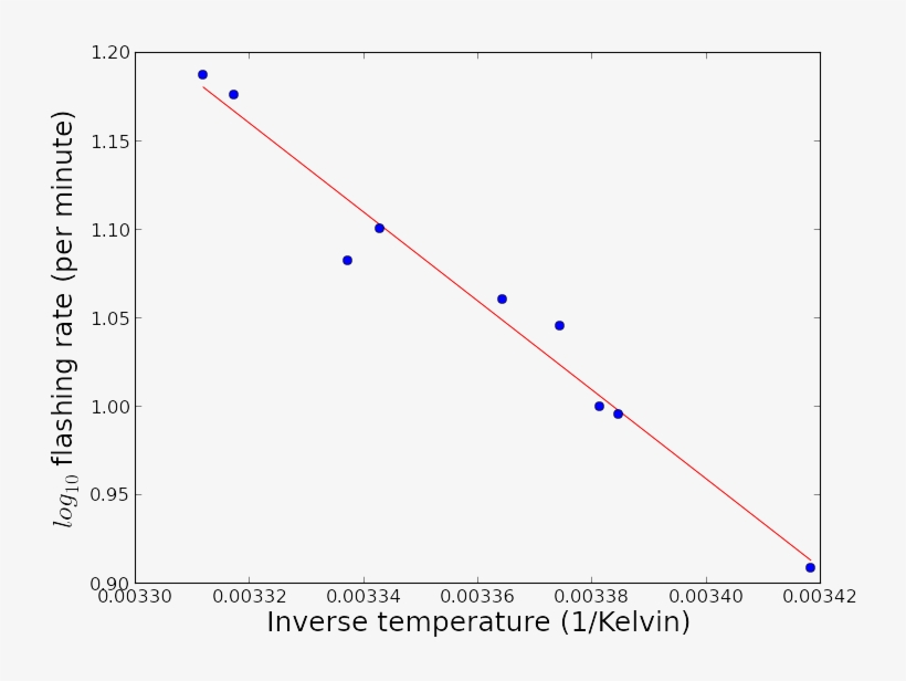 Fit Of An Arrhenius Law To Fire Fly Flashing Rate Data - Diagram, transparent png download