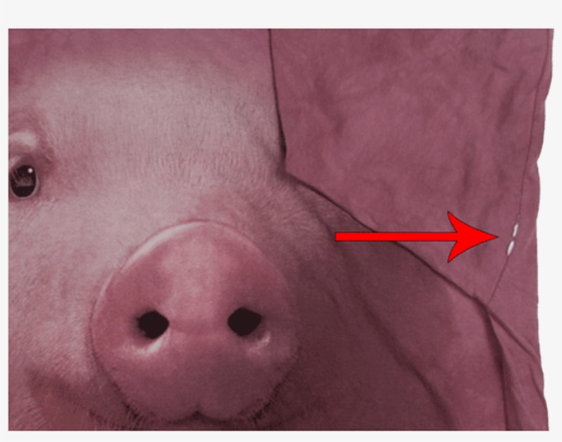 Футболка С Дефектом Pig Face - Domestic Pig, transparent png download