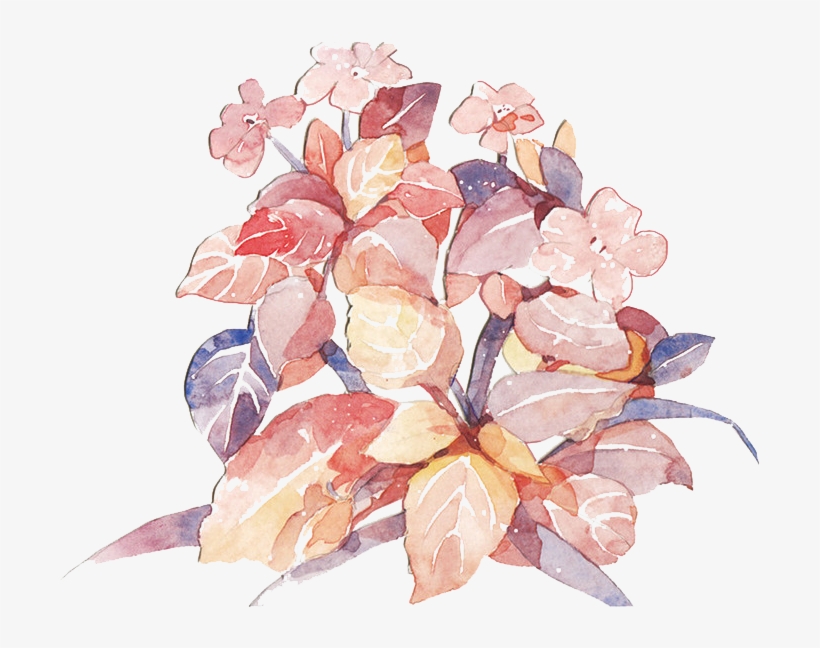 Tokyo National Cherry Blossom Festival Painted Picture - Cherry Blossom, transparent png download