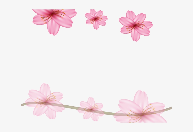 Sakura Clipart Condolence Flower - ดอก ซากุระ ลาย เส้น, transparent png download