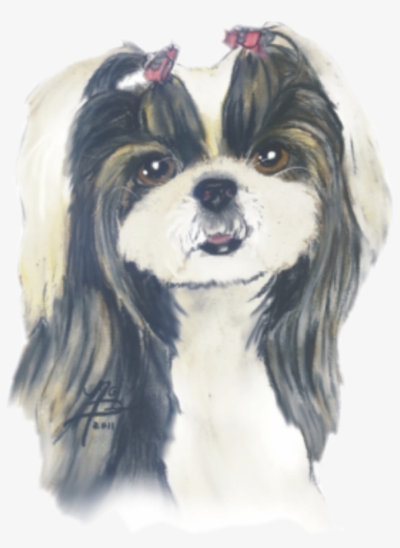 Shih Tzu Portrait/art - Companion Dog, transparent png download