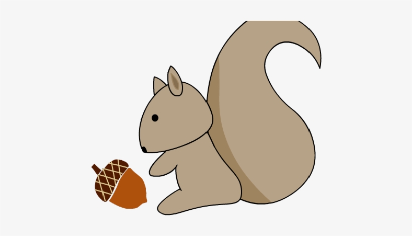 Red Squirrel Clipart Woodland - Eurasian Red Squirrel, transparent png download