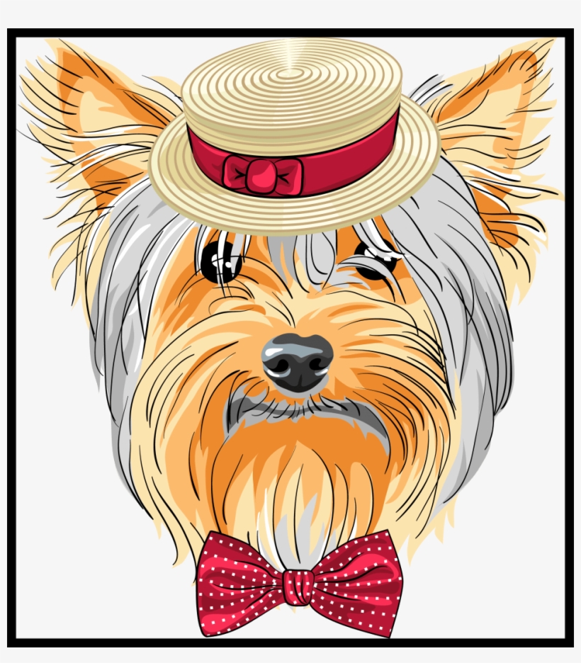 Puppy Clipart Yorkie - Yorkie Dog Vector, transparent png download
