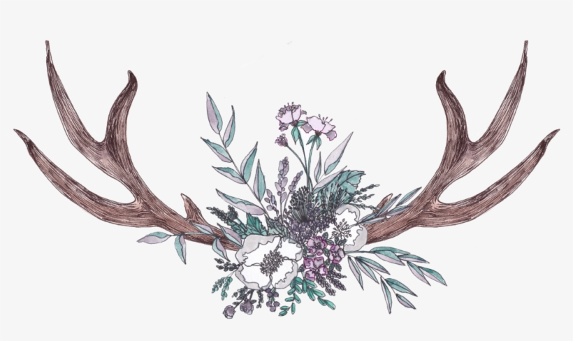 Hand Painted Antler And Wild Flower Motif - Illustration, transparent png download