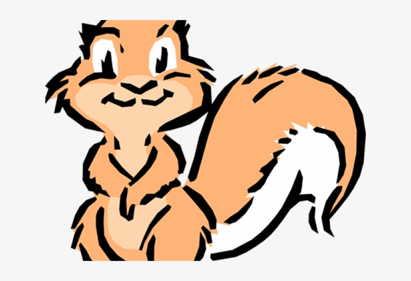 Squirrel, transparent png download