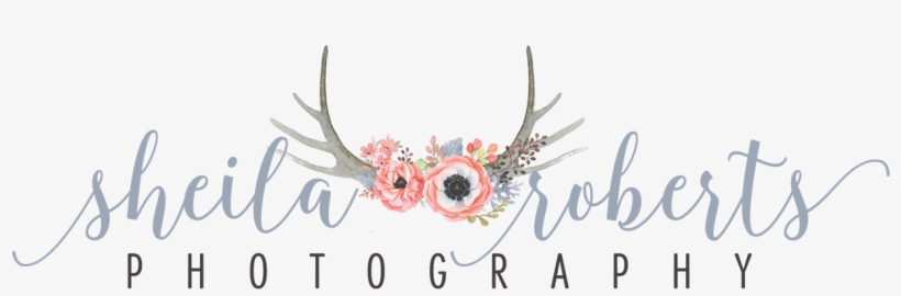 Reindeer, transparent png download