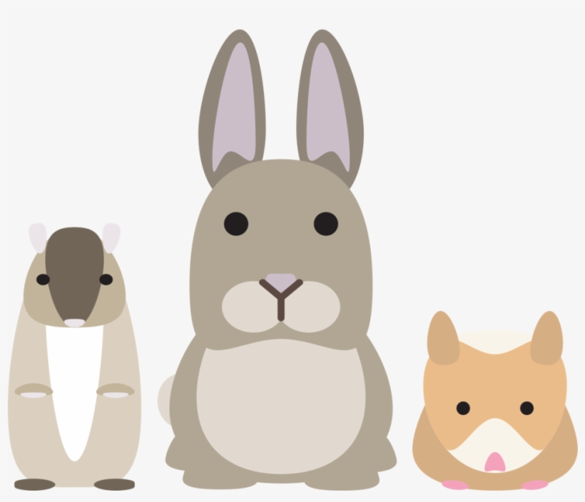 Small Animal Products - Pets Clipart Png, transparent png download