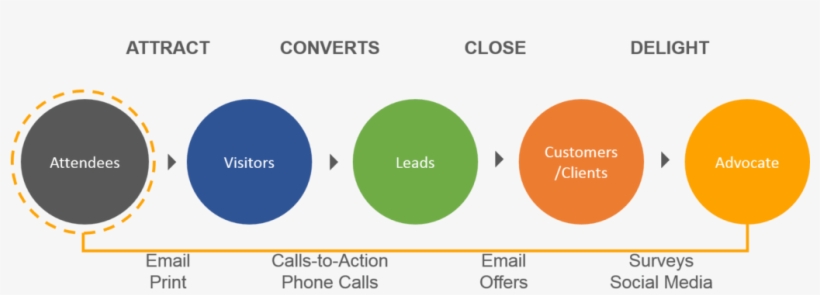 An Example Of A Trade Show Attendee's Journey To Becoming - Diagram, transparent png download