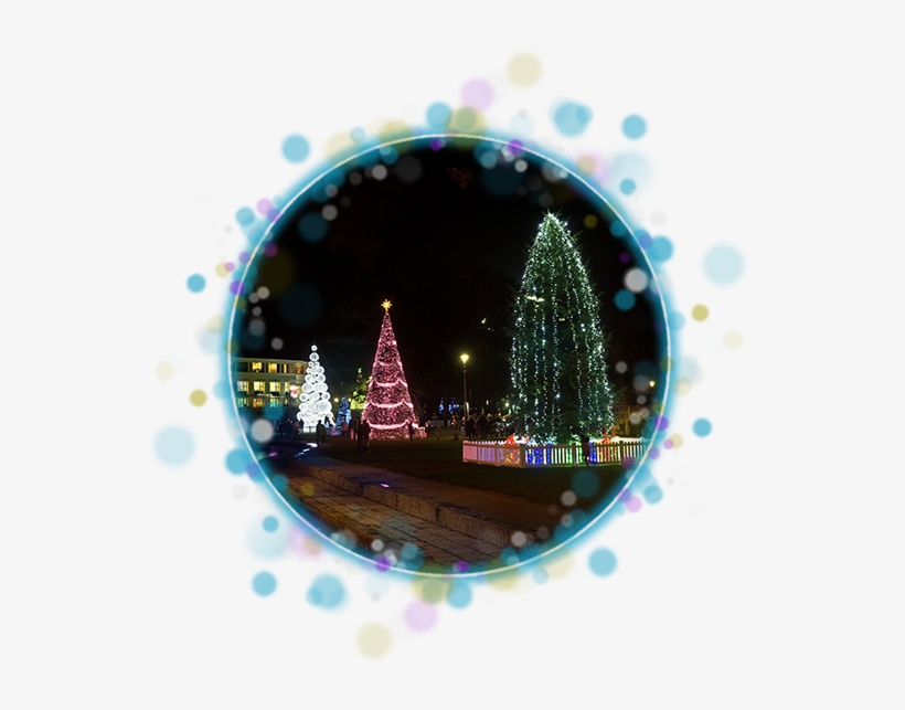 3 Christmas Tree's In Blue Sparkle Circle - Christmas Tree, transparent png download
