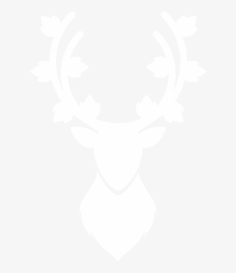 Contract & Event Flowers - Bluebell And Ivy, transparent png download