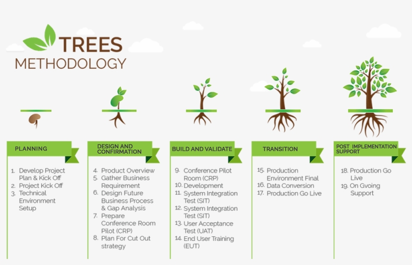 Contact Us - Tree, transparent png download