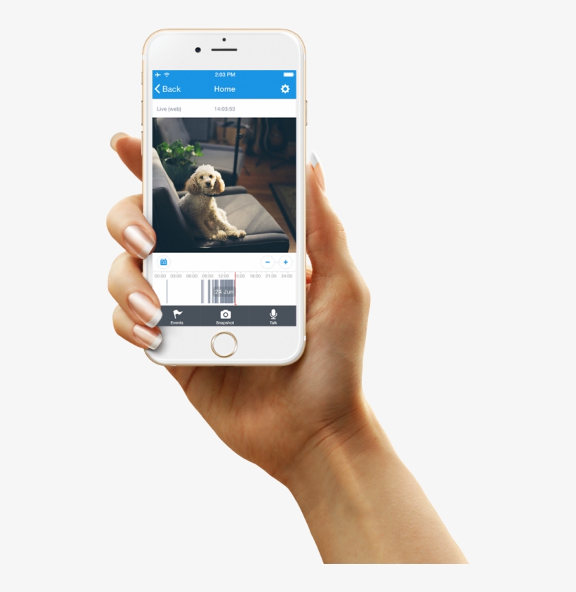 If The Internet Goes Down The Video Will Be Saved On - Iphone Female Hand Png, transparent png download