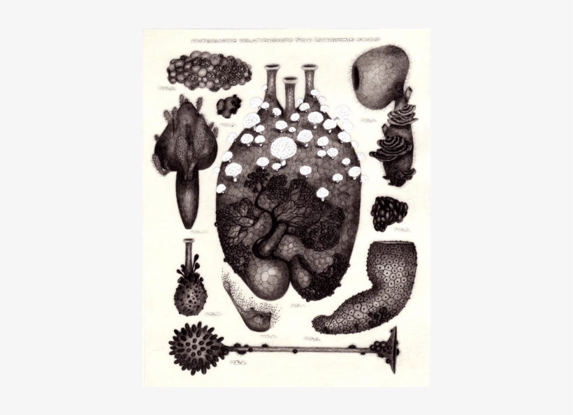 Artwork By Amber Stucke, Courtesy 2731 Prospect - Illustration, transparent png download