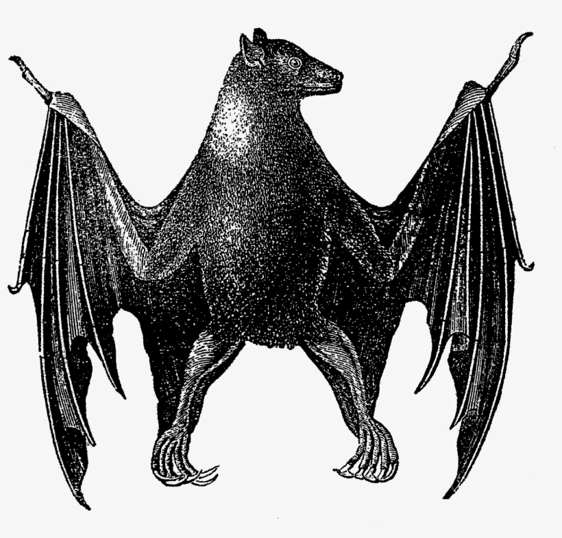 Scary Halloween Bat Images - Halloween Scary Bats Drawings, transparent png download