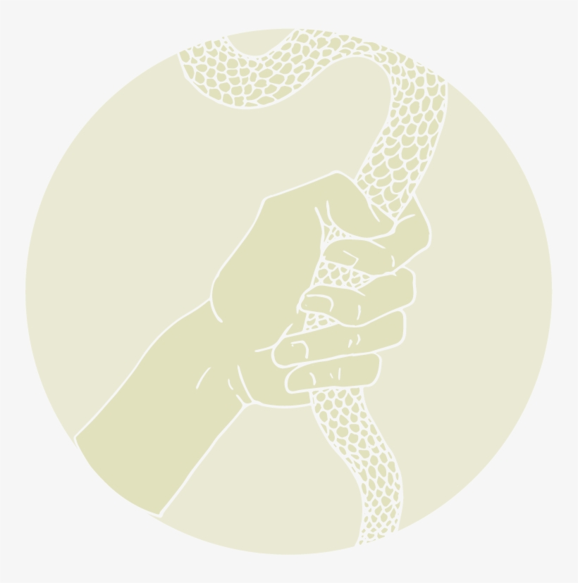 Hand Grabbing Snake@2x - Illustration, transparent png download