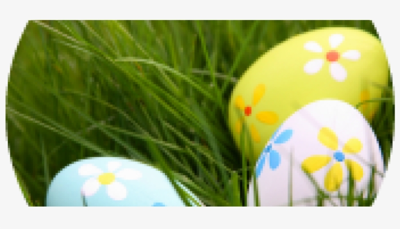 Same But Different - Easter Bunny April Fool Tricks, transparent png download