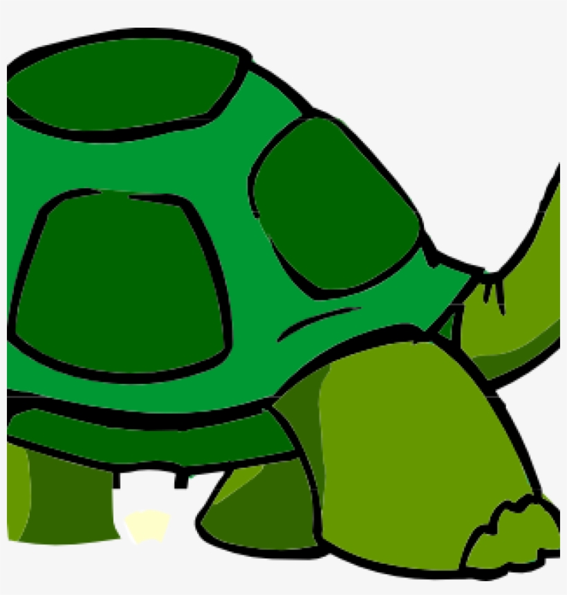 Free Turtle Clipart Turtle Clip Art Free Clipart Panda - Animated Turtle, transparent png download