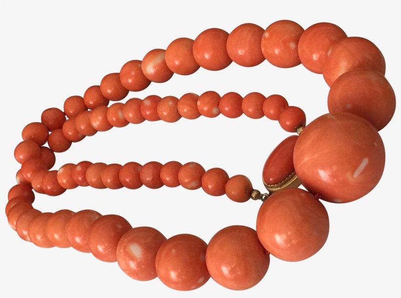 Genuine Natural Old Coral Coral Type - Momo Coral, transparent png download