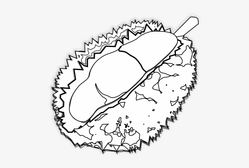 Food Durian Durian Black White Line Art 555px - Durian Black And White Transparent, transparent png download